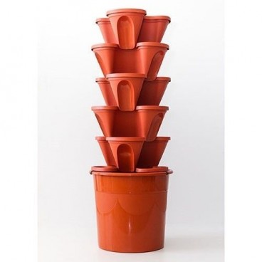 BASIC VERTICAL GROWING TABLE ECOGARDEN